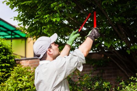 Why You Need Seasonal Landscaping Services
