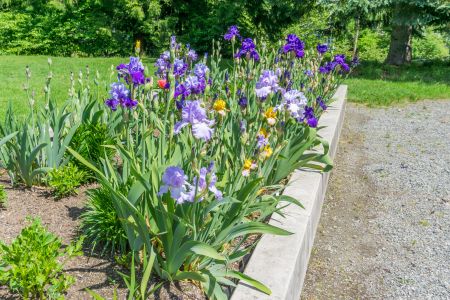 Stone edging