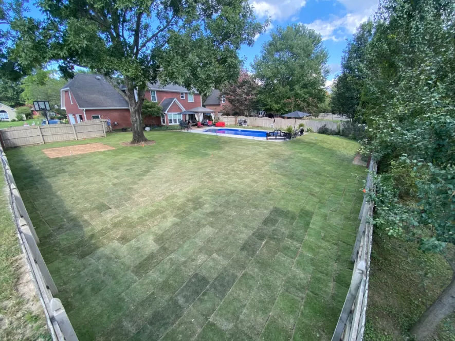 Regrading and Resoding a Back Yard with Emerald Green Zoysia in Owens Cross Roads, AL