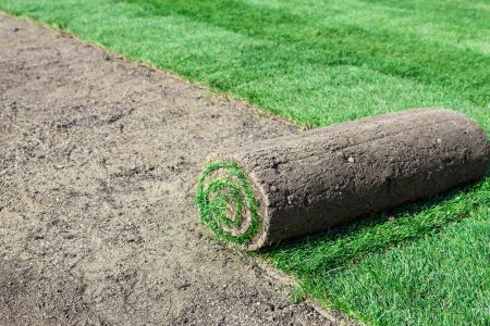Sod Installation Thumbnail